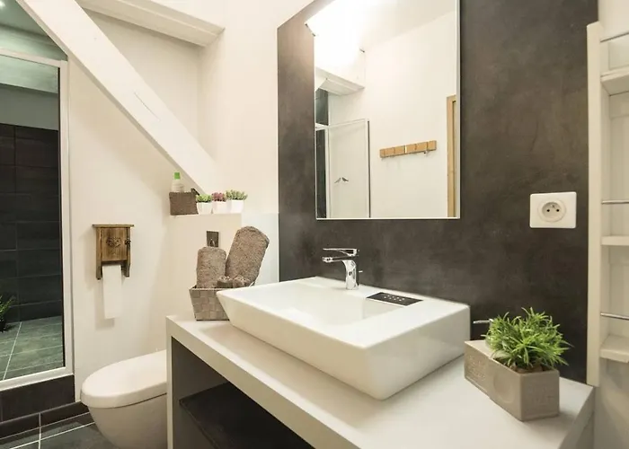 Duplex D'exception 10 Pers, Jacuzzi, Parking, Saint-lary - Fr-1-296-340 サン・ラリー・スラン